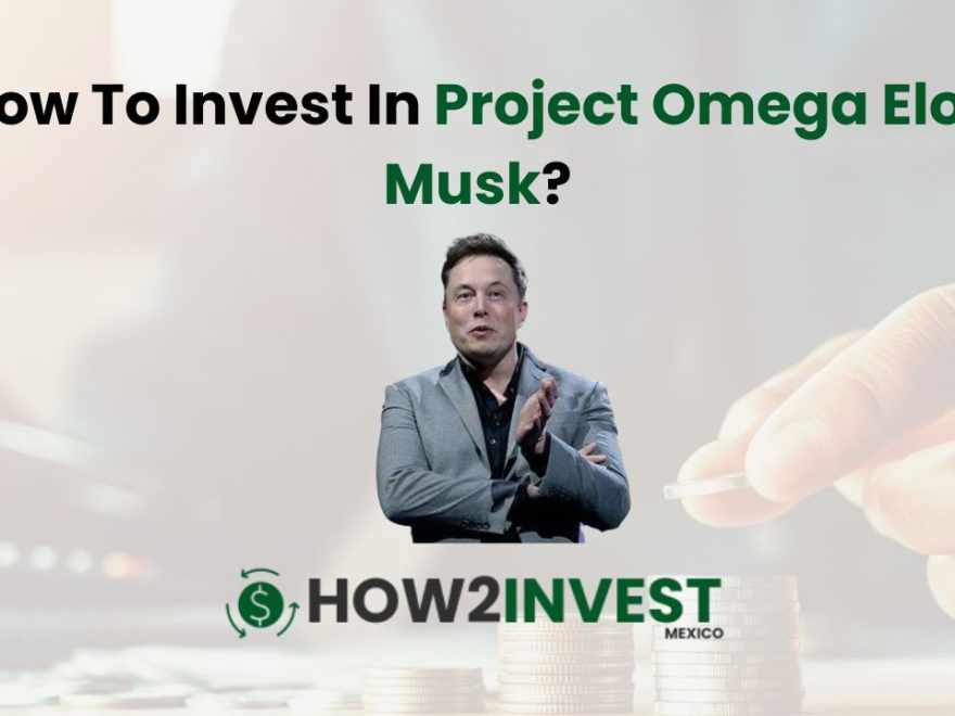 How To Invest In Project Omega Elon Musk