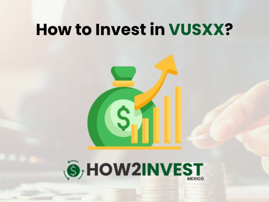 How to Invest in VUSXX